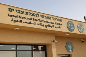 המרכז הארצי החדש להצלת צבי הים נפתח במכמורת וישמש מוקד חינוכי וקהילתי